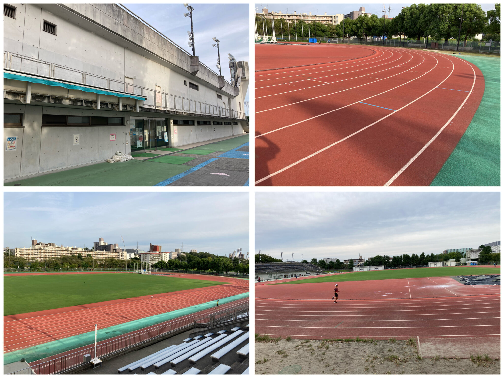 名古屋市内ランニングコース、ジョギングコースおすすめ。山崎川、パロマ瑞穂北陸上競技場ランニングコース。 ルギ散歩